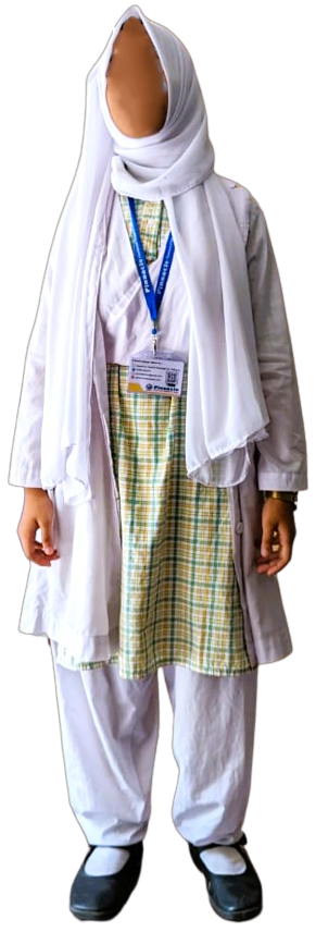 dress image